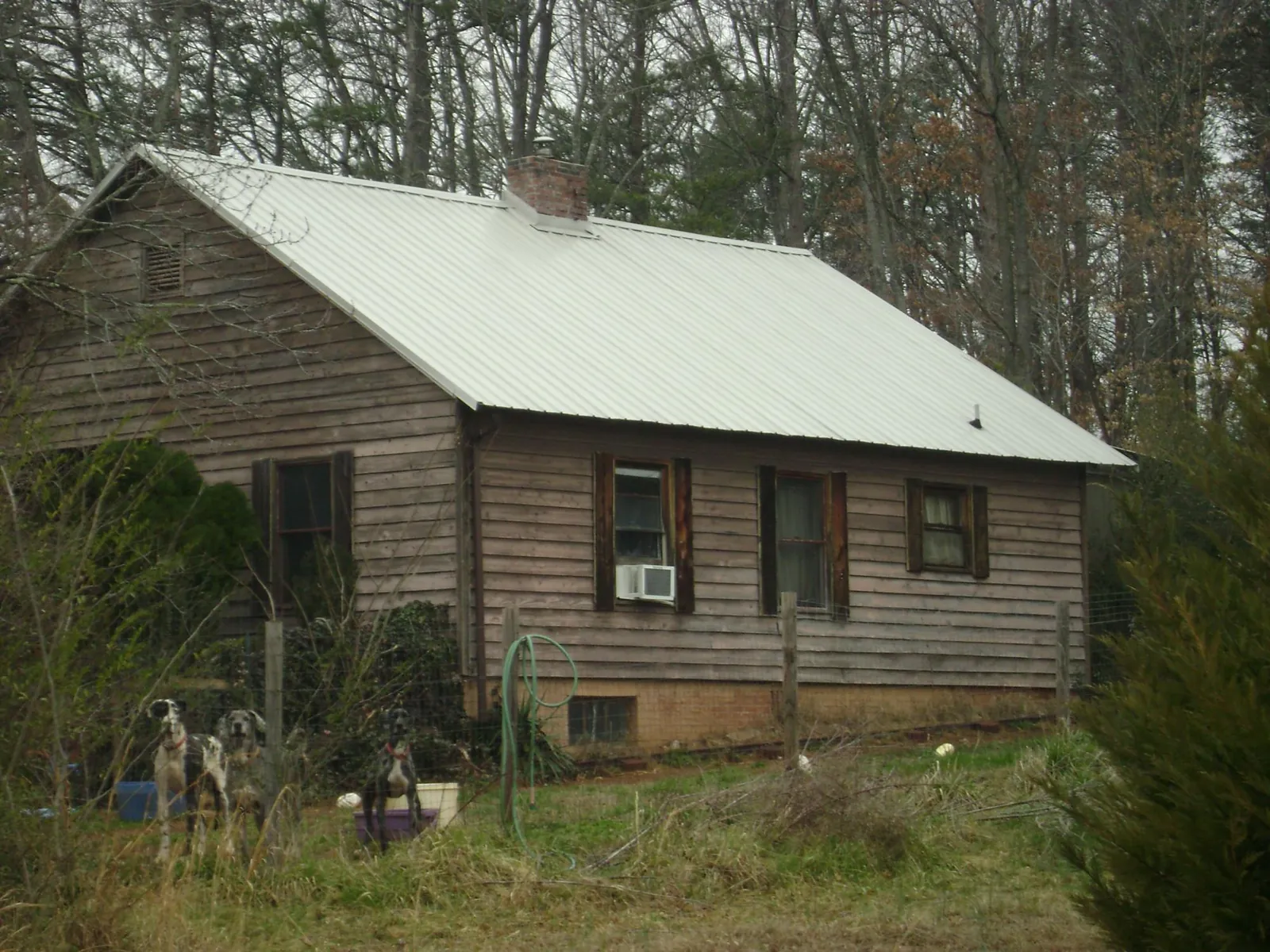 White metal roof on an old wood sided farmhouse, from a Asphalt Shingle Roof Repair job in Umpqua